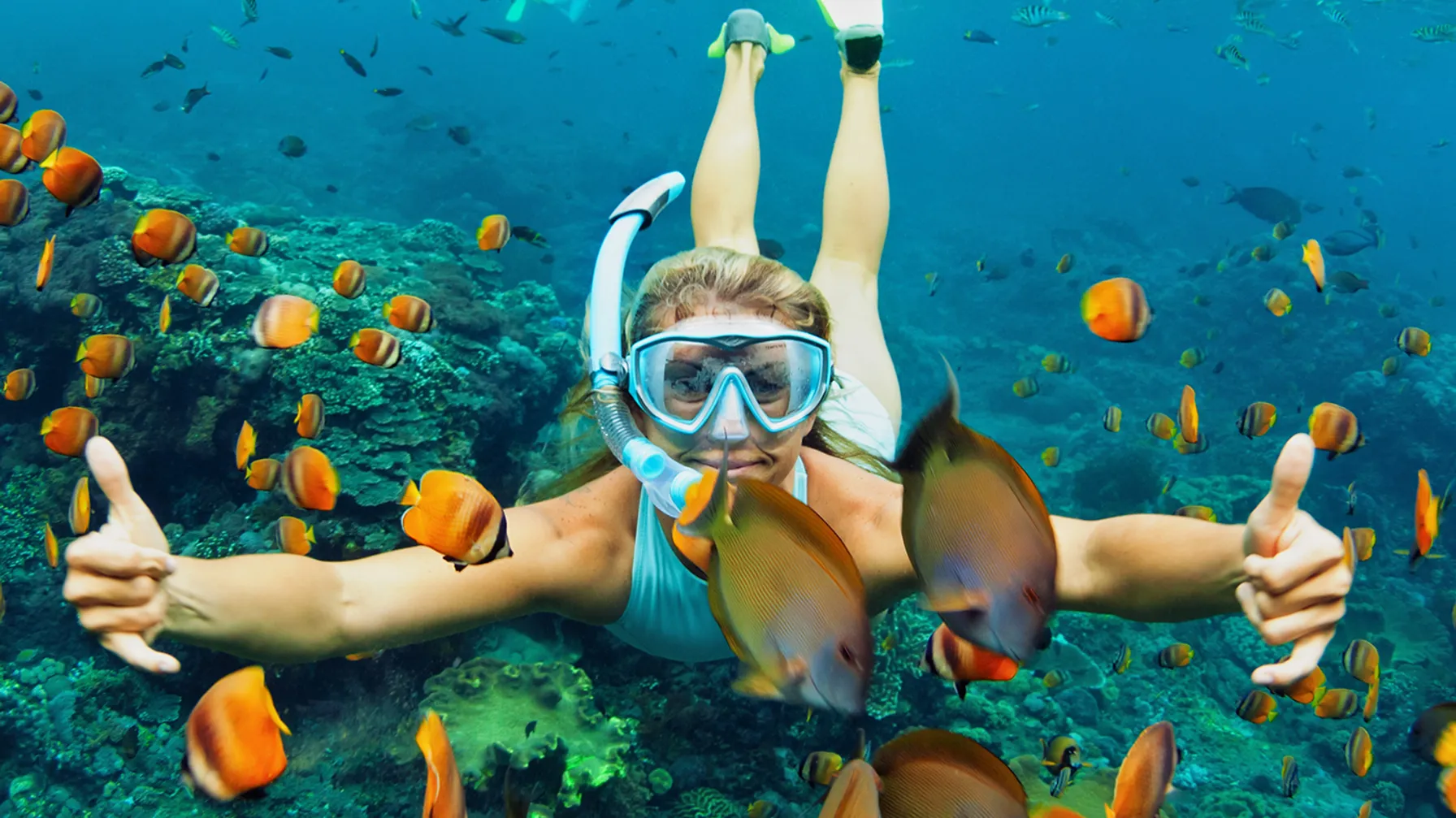 Top 5 des plus beaux spots de snorkeling dans le monde article