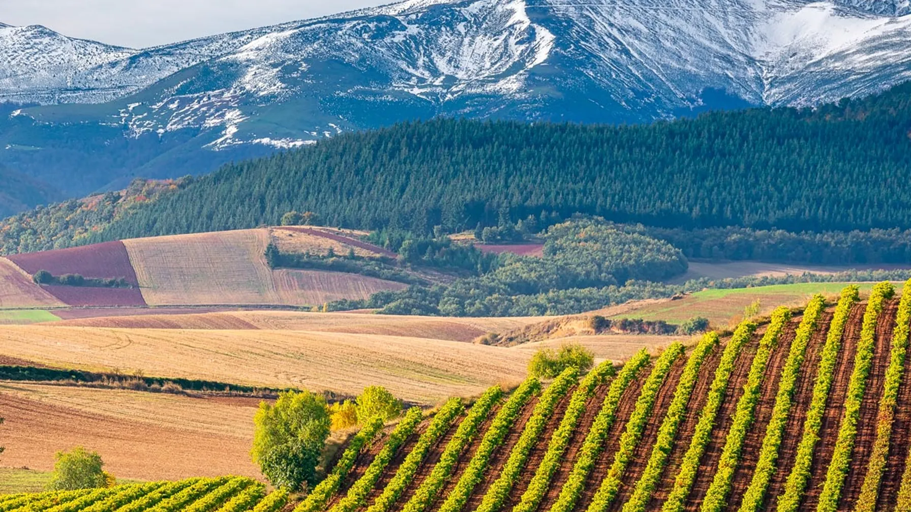 Oenotourisme dans la Rioja article