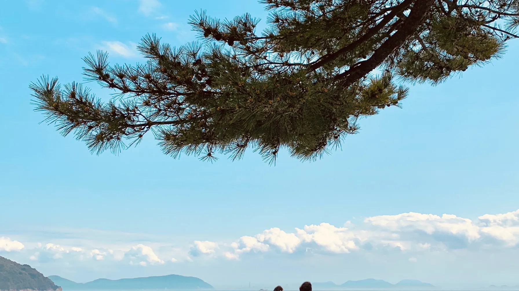 Japon : 4 expériences sensorielles uniques à ne pas manquer article