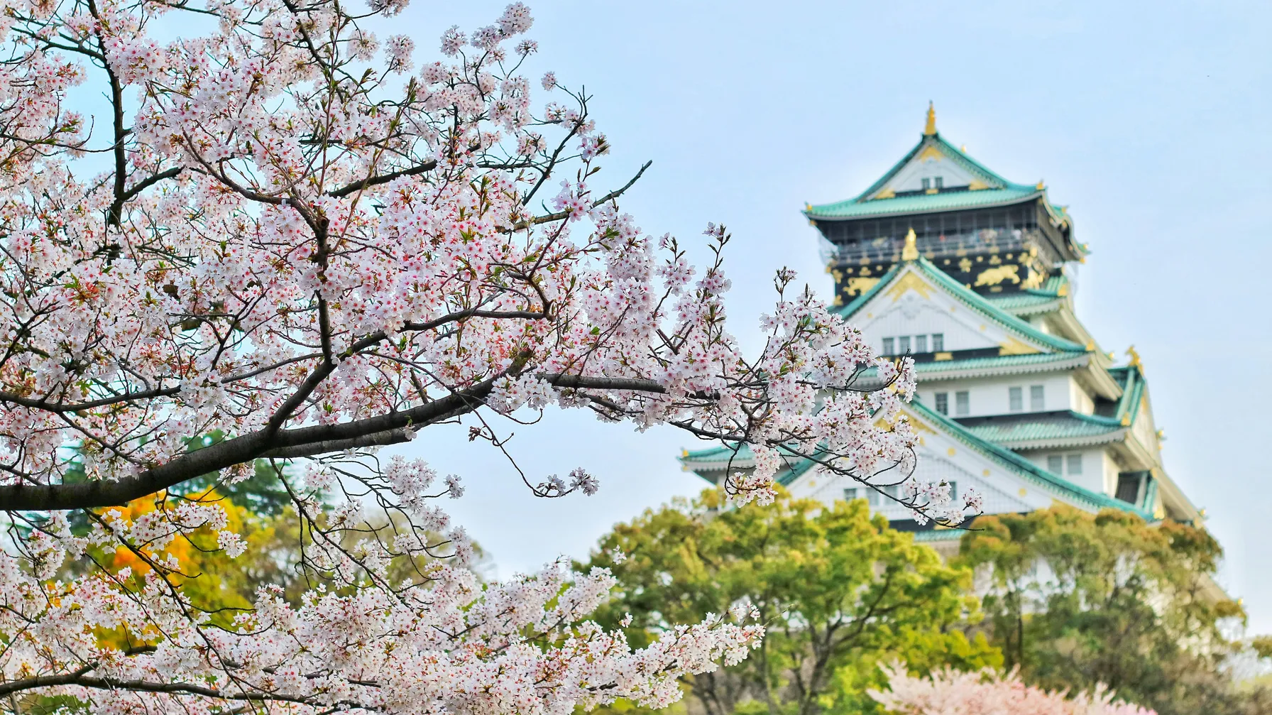 Hakone, Himeji, Kamakura, Kyoto, Nara, Nikko, Osaka, Tokyo, Uji, Yokohama