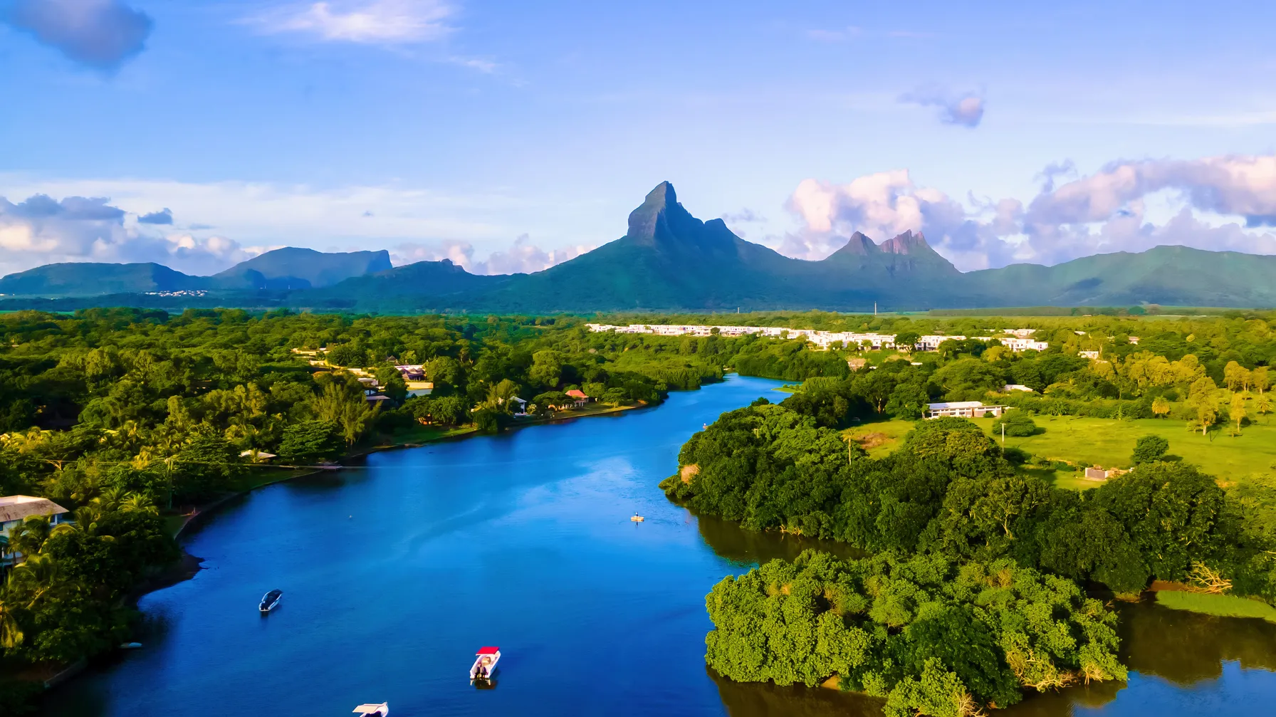 Chamarel, Tamarin