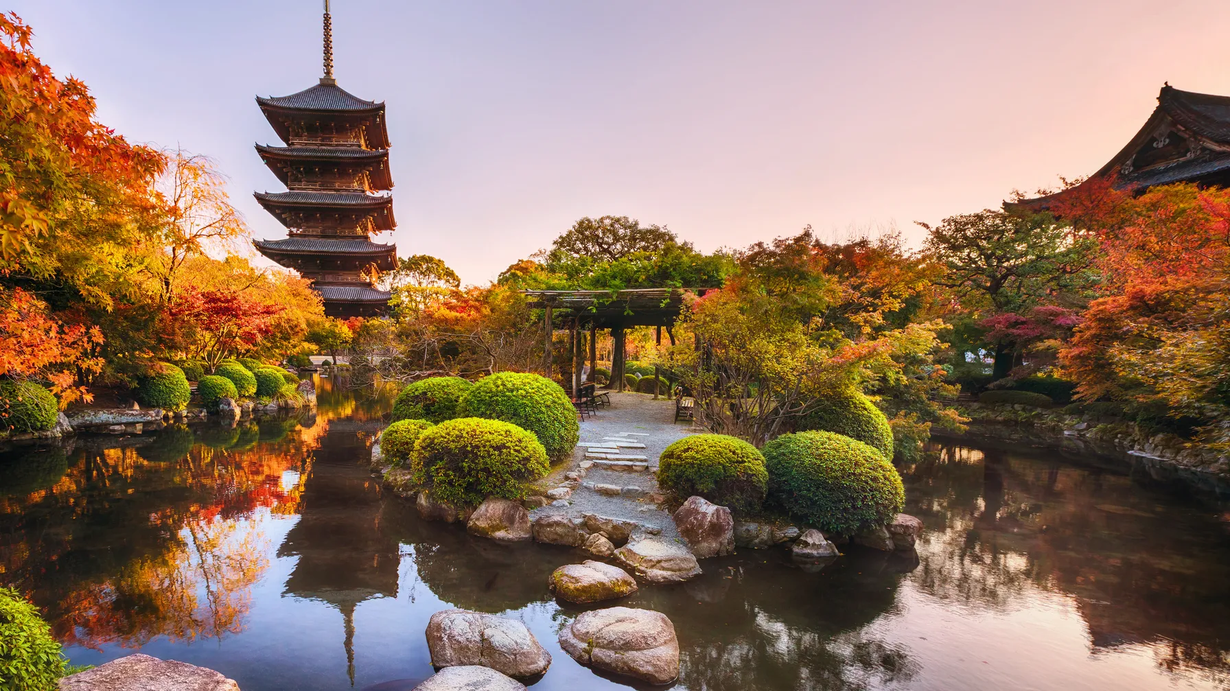Activities in Kyoto: discover the must-have experiences of the former capital article