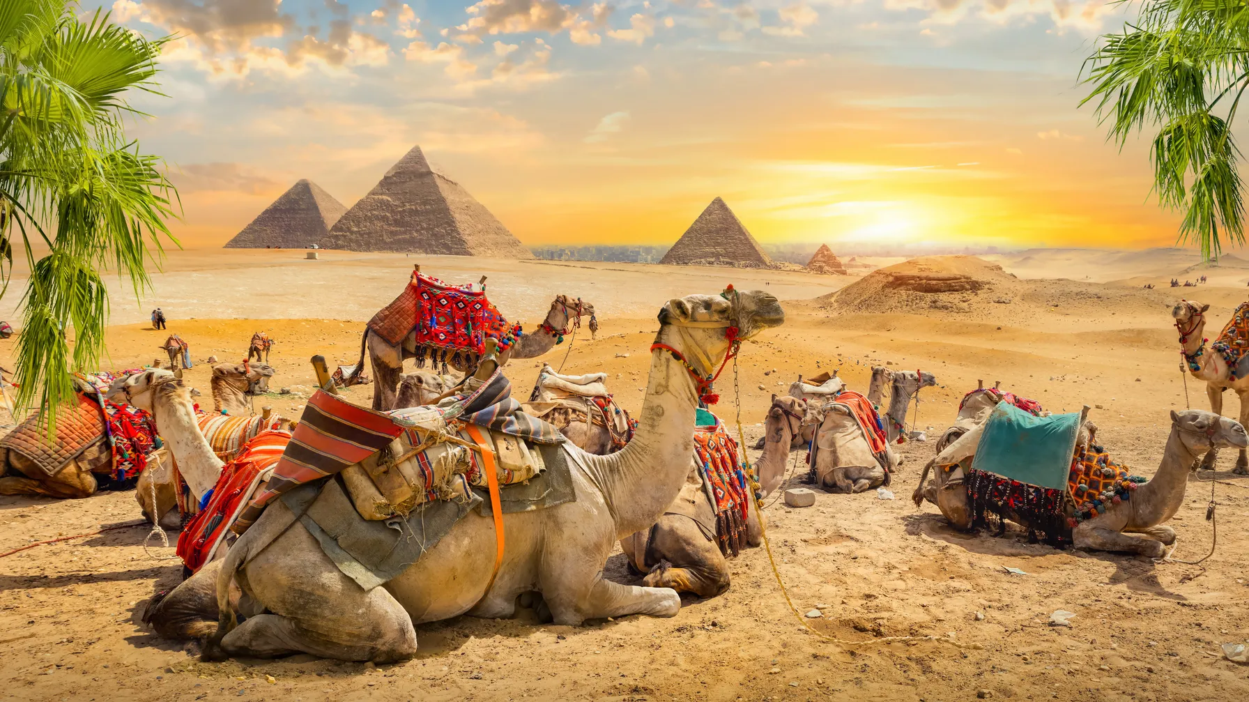 Activités au Caire : découvrez les meilleures expériences de la capitale égyptienne article
