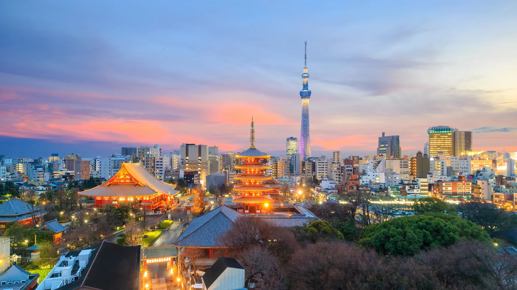 Guide de Tokyo : découvrez la capitale du Japon comme un local article