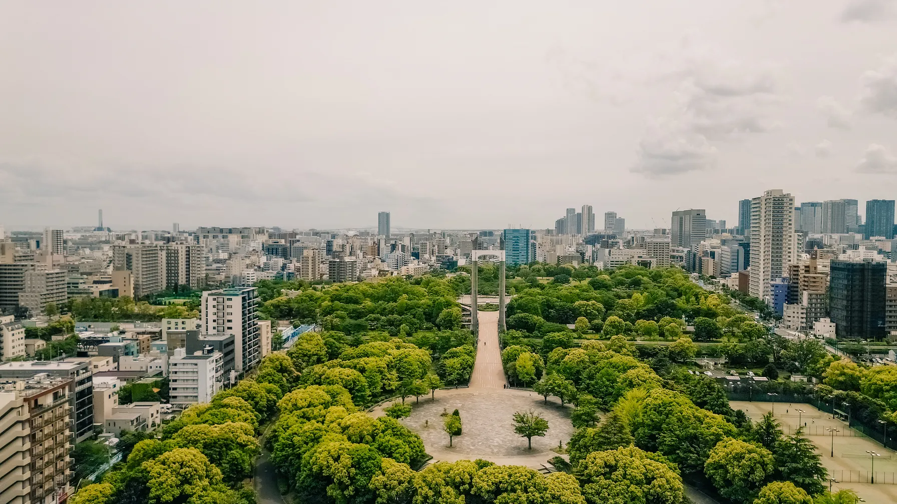 Traveling to Japan in August: complete guide for your summer trip article