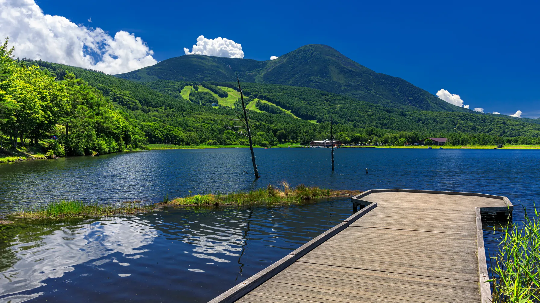 Visiting Japan in July: climate, festivals, and practical tips article