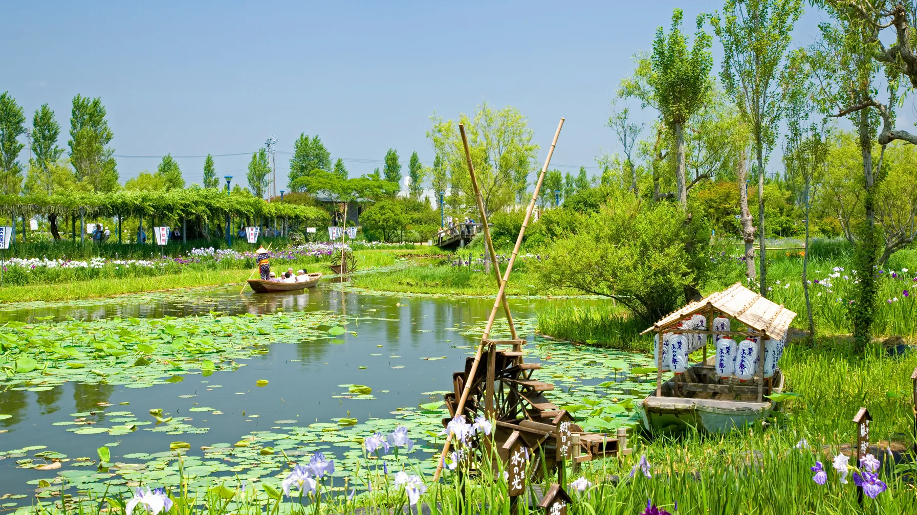 Going to Japan in June: discovering the authenticity of Japan during the rainy season article