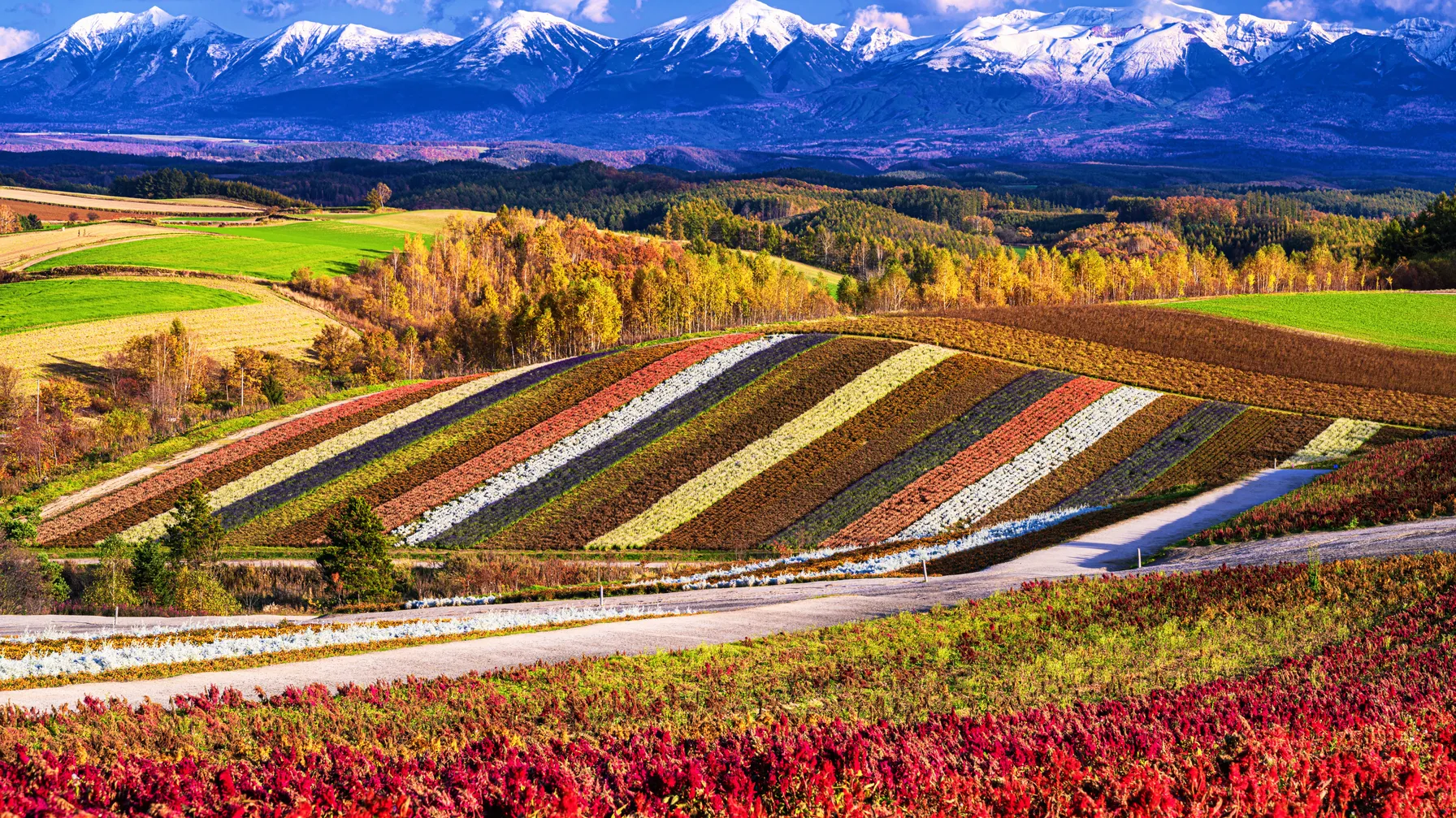 Travel to Japan in October: discover the magic of the Japanese autumn article