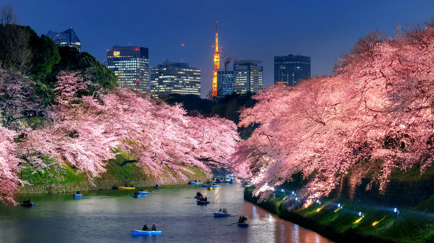 Tokyo en avril : la période idéale pour votre voyage au Japon ? article