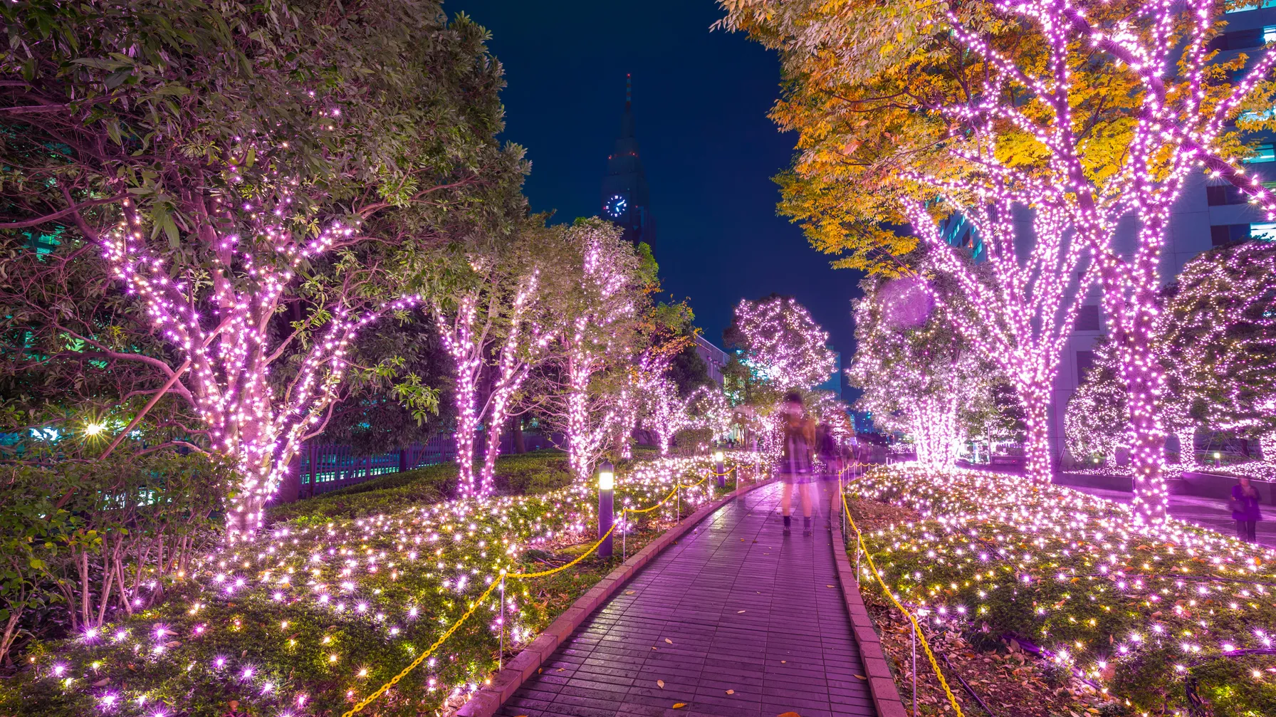 Tokyo en décembre : votre guide complet pour un voyage réussi article