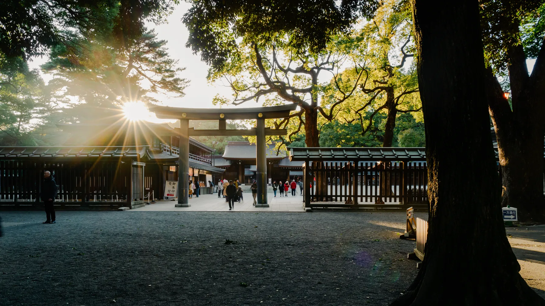 Tokyo en février : découvrez la capitale japonaise sous son manteau d'hiver article