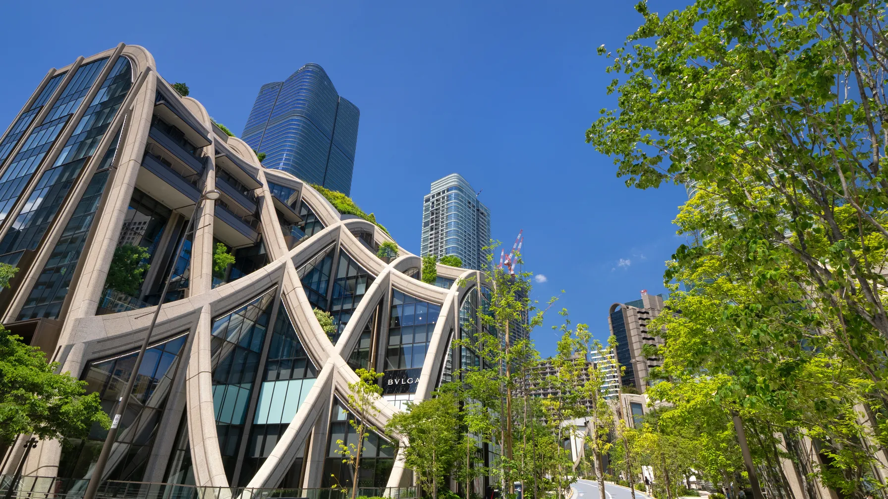 Tokyo en juin : votre guide complet pour un voyage réussi dans la capitale japonaise article