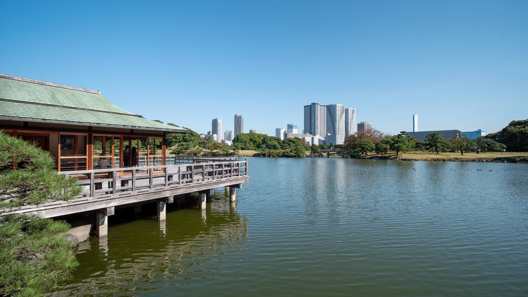 Tokyo en octobre : la destination idéale pour découvrir l'automne japonais article