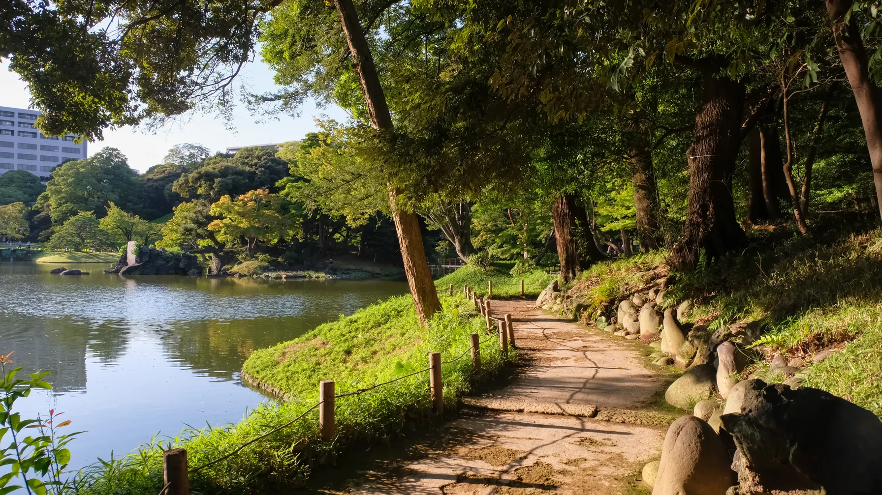 Tokyo en septembre : la période idéale pour découvrir la capitale japonaise ? article