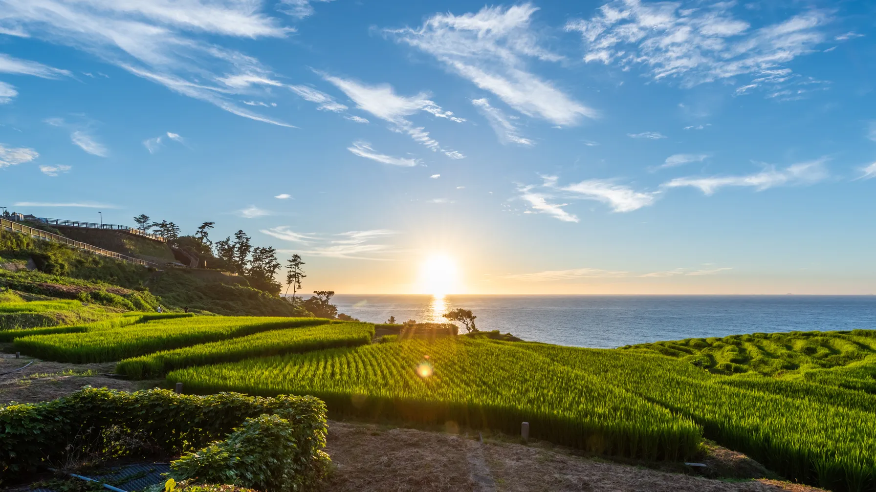 Kanazawa en mai : votre escapade printanière au cœur du Japon authentique article