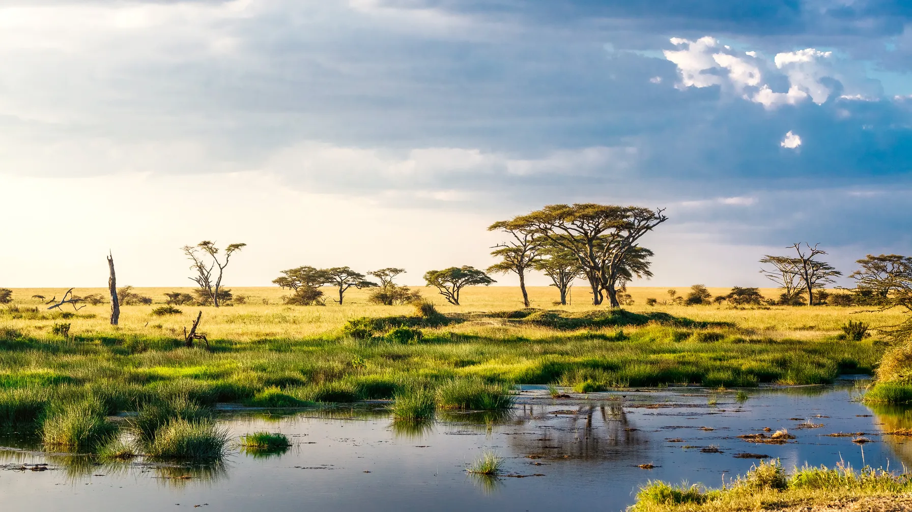 Tanzanie en mars : découvrez cette destination pendant la saison des pluies article