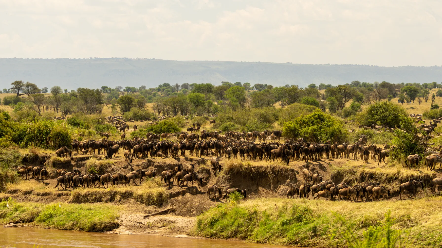 Tanzanie en novembre : votre guide pour partir au meilleur moment article