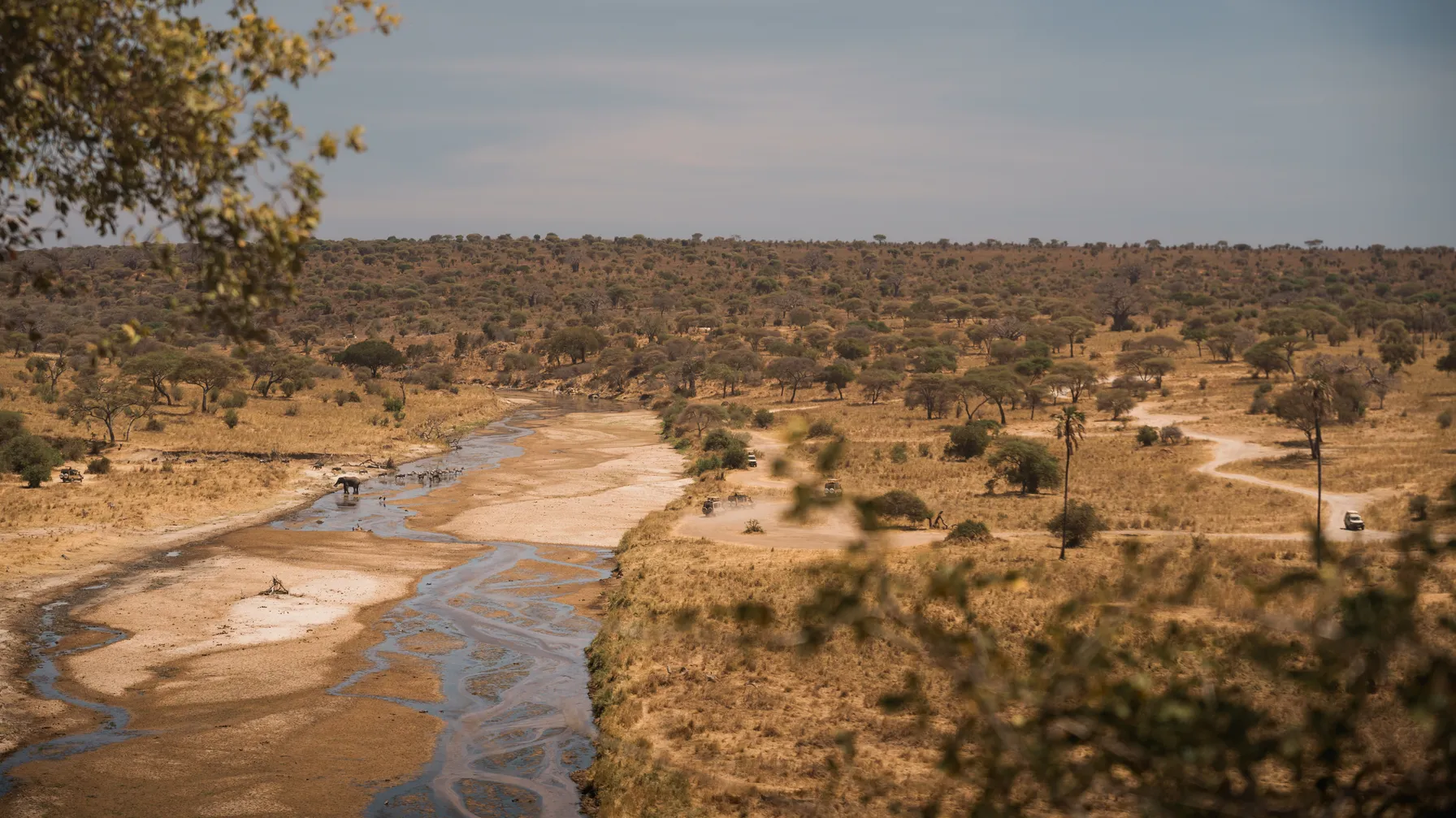 Tanzanie en septembre : découvrez cette destination sous un climat privilégié article