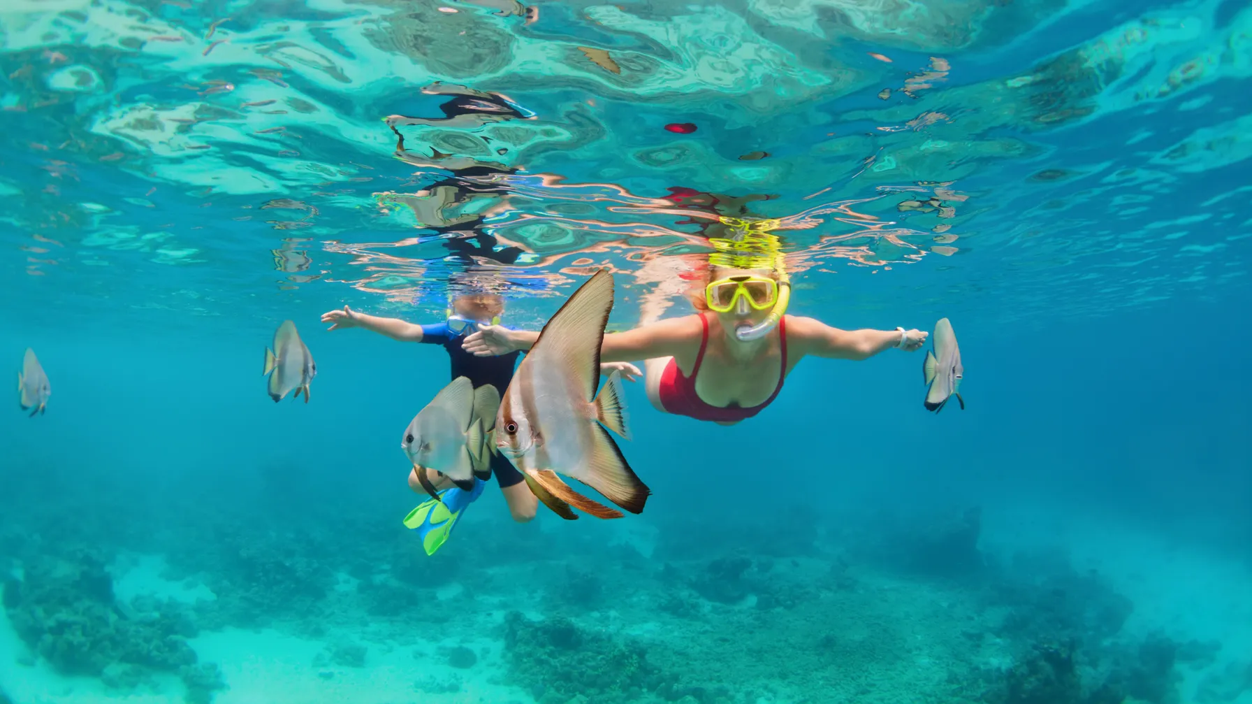 Activités à Phuket : découvrez le meilleur de la perle de la mer d'Andaman article