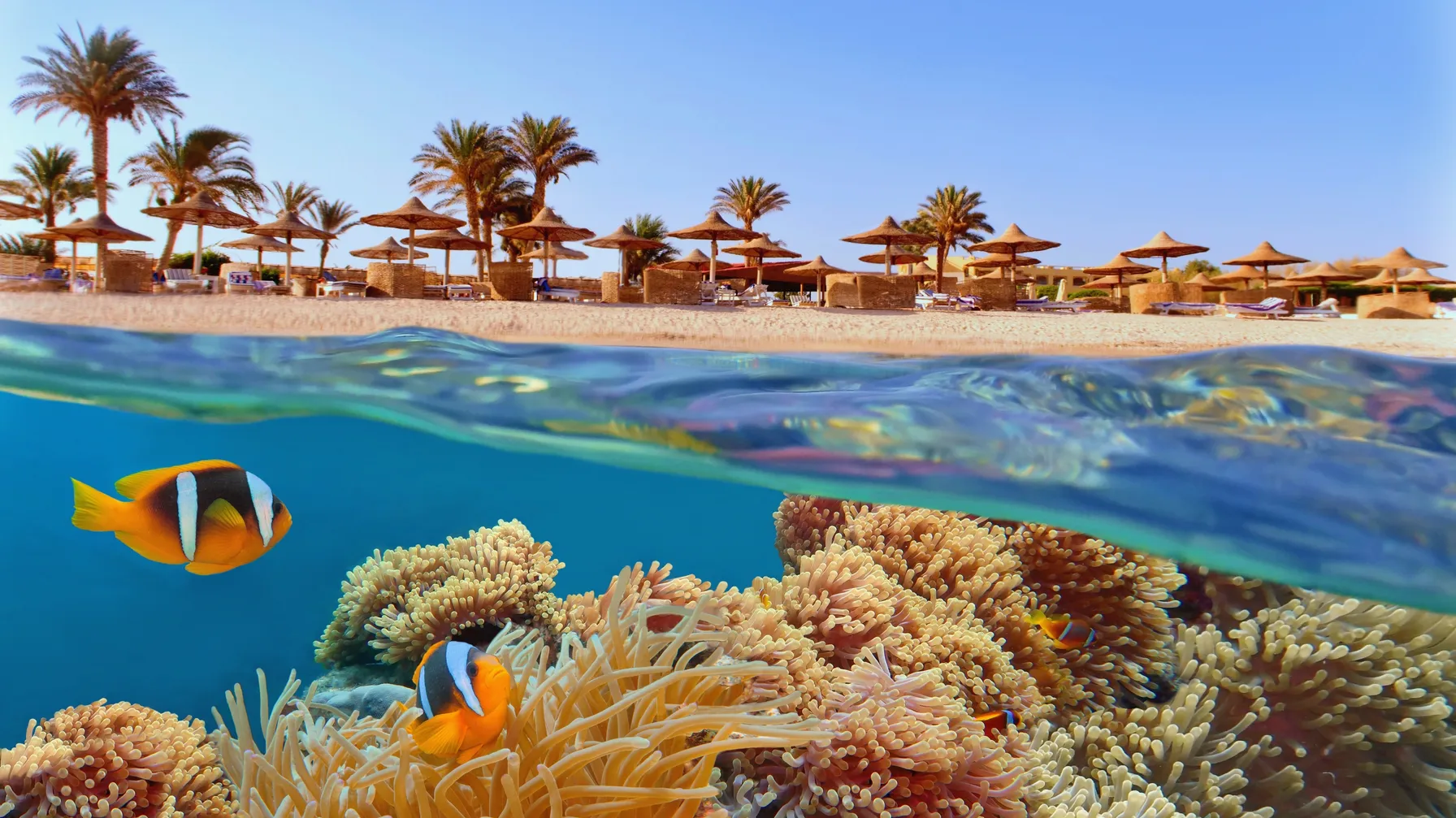 Activités en Egypte : votre guide des expériences inoubliables article