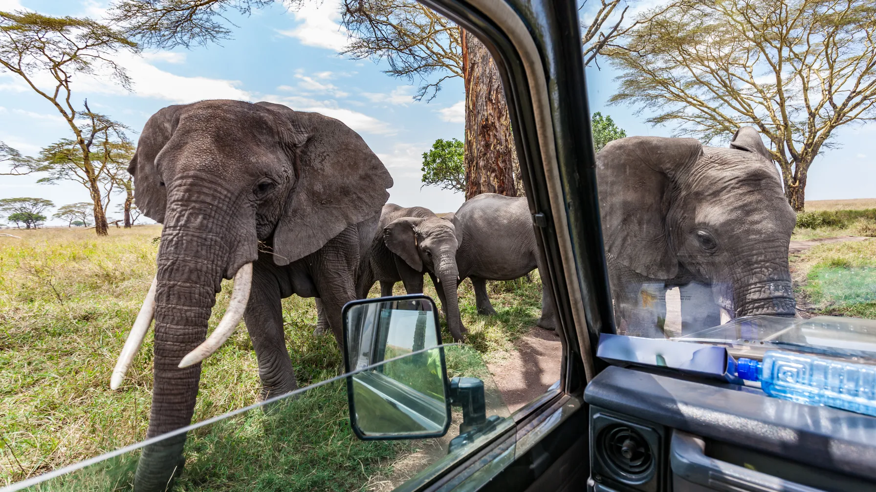 Que faire en Tanzanie : guide complet des expériences incontournables article