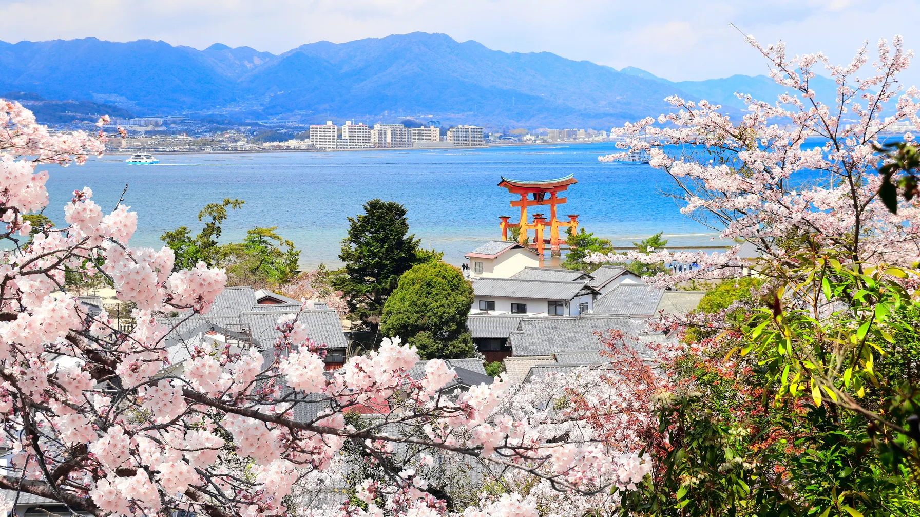 Things to do in Hiroshima: discover the treasures of the city of peace article