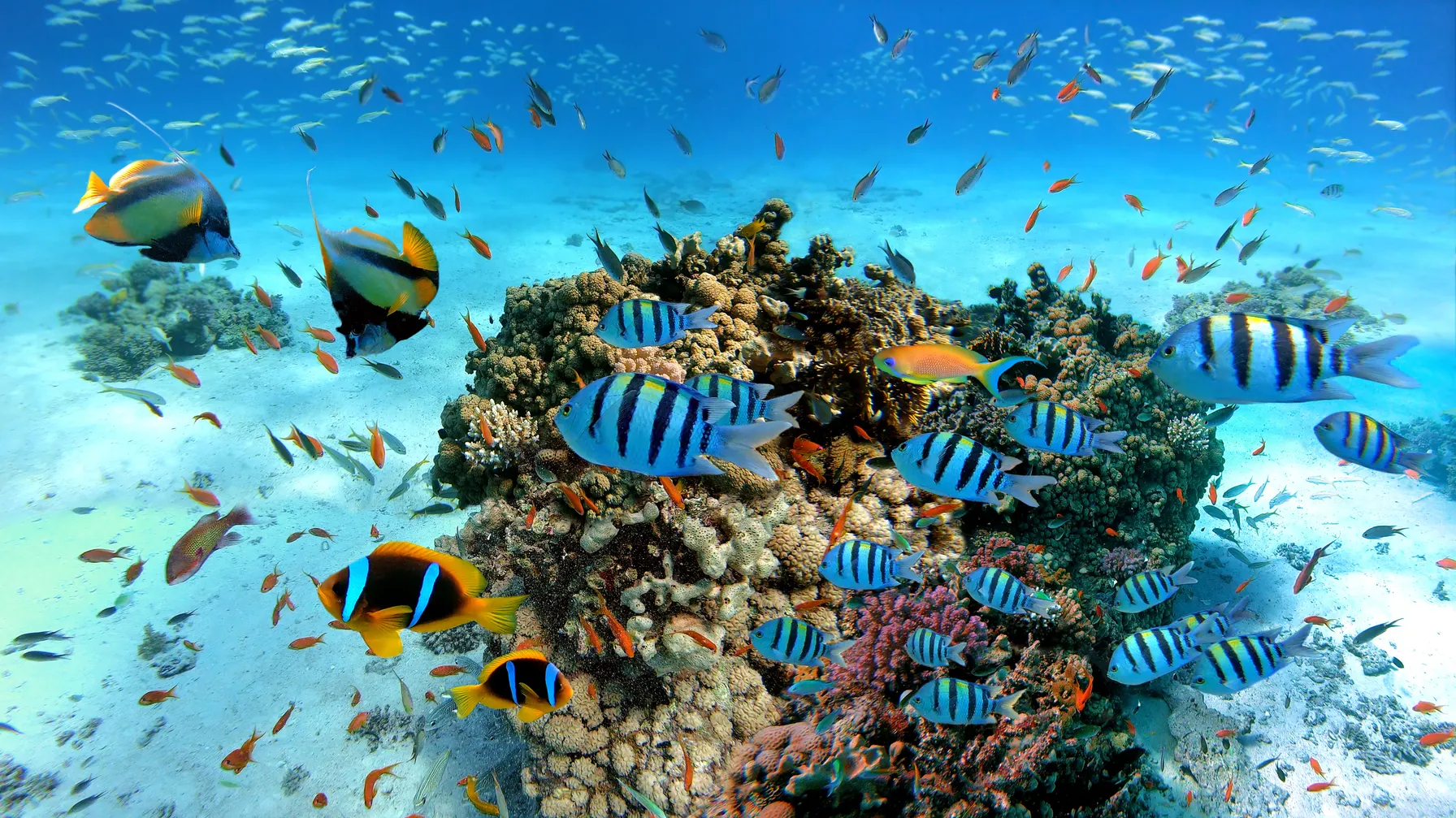 What to do in Hurghada: discover the treasures of this exceptional resort article