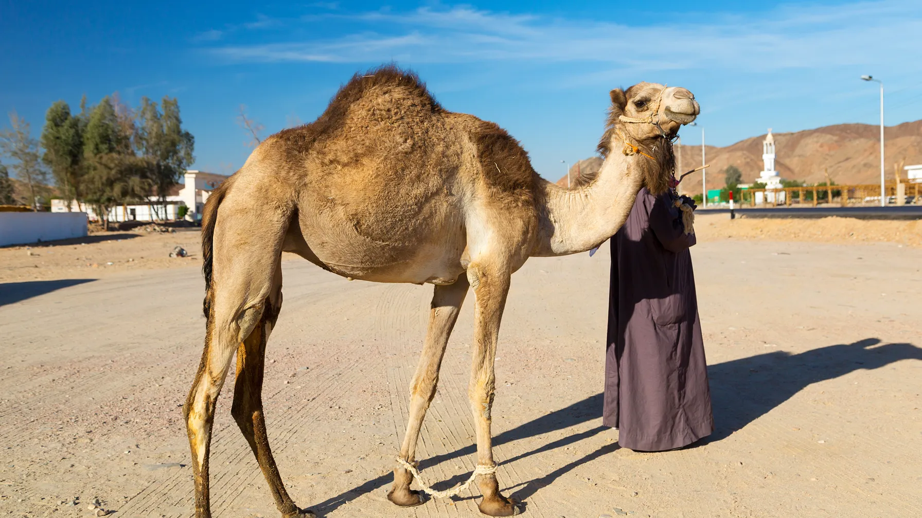 Hurghada in February: your complete guide to a perfect seaside trip on the Red Sea article