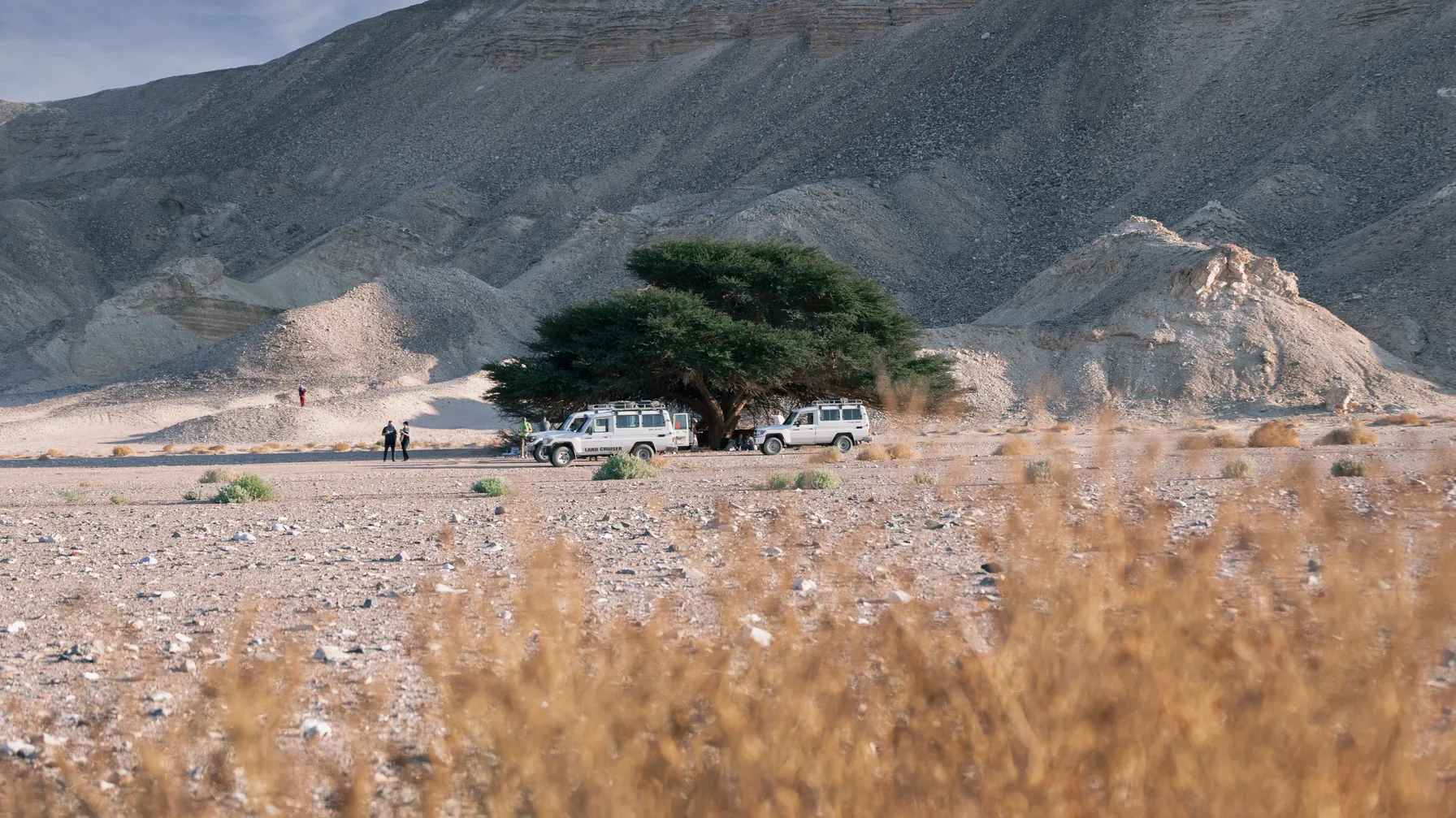 Hurghada in December: your complete guide for a holiday under the Egyptian sun article