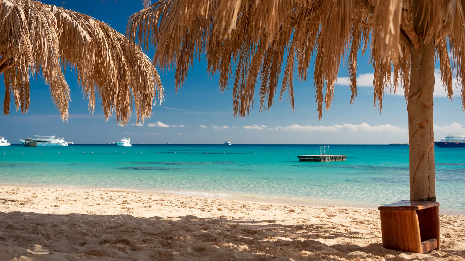 The Red Sea in October: your complete guide for an ideal holiday article