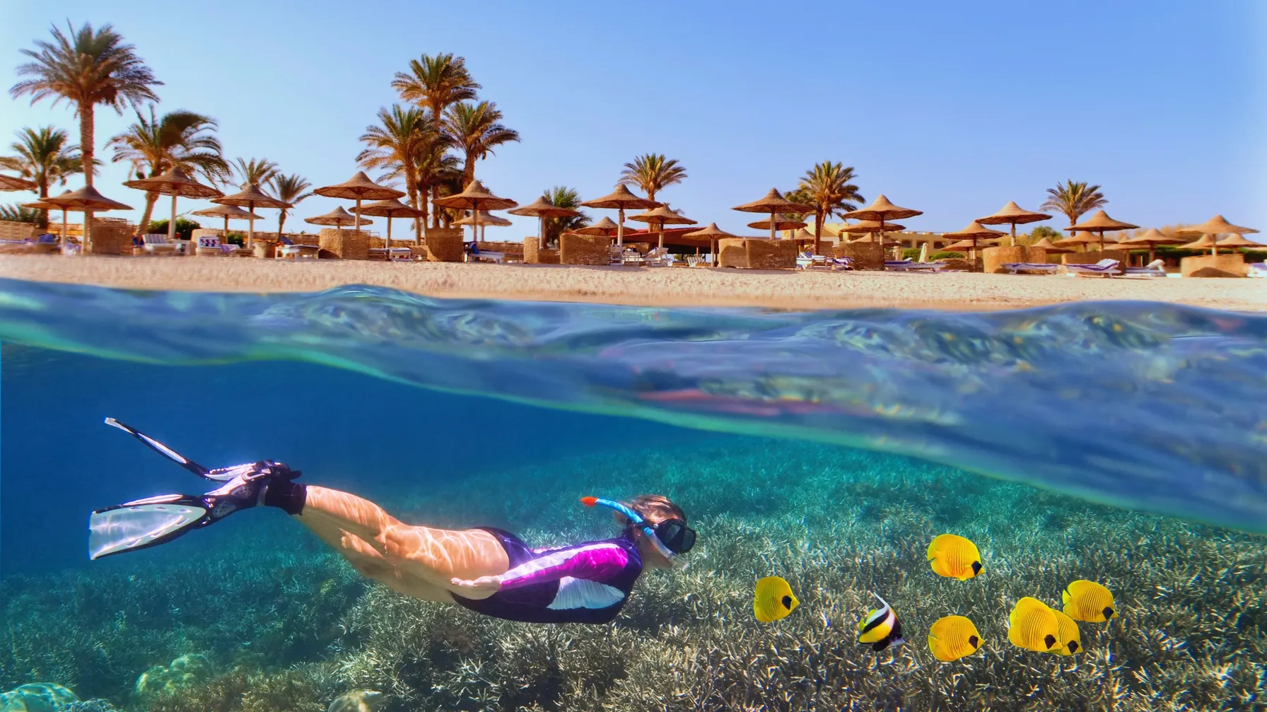 Hurghada in March: your ideal destination under the Egyptian sun? article