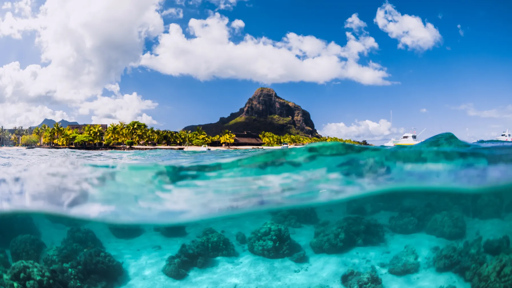 Quand partir à l'île Maurice : votre guide complet pour un voyage réussi article