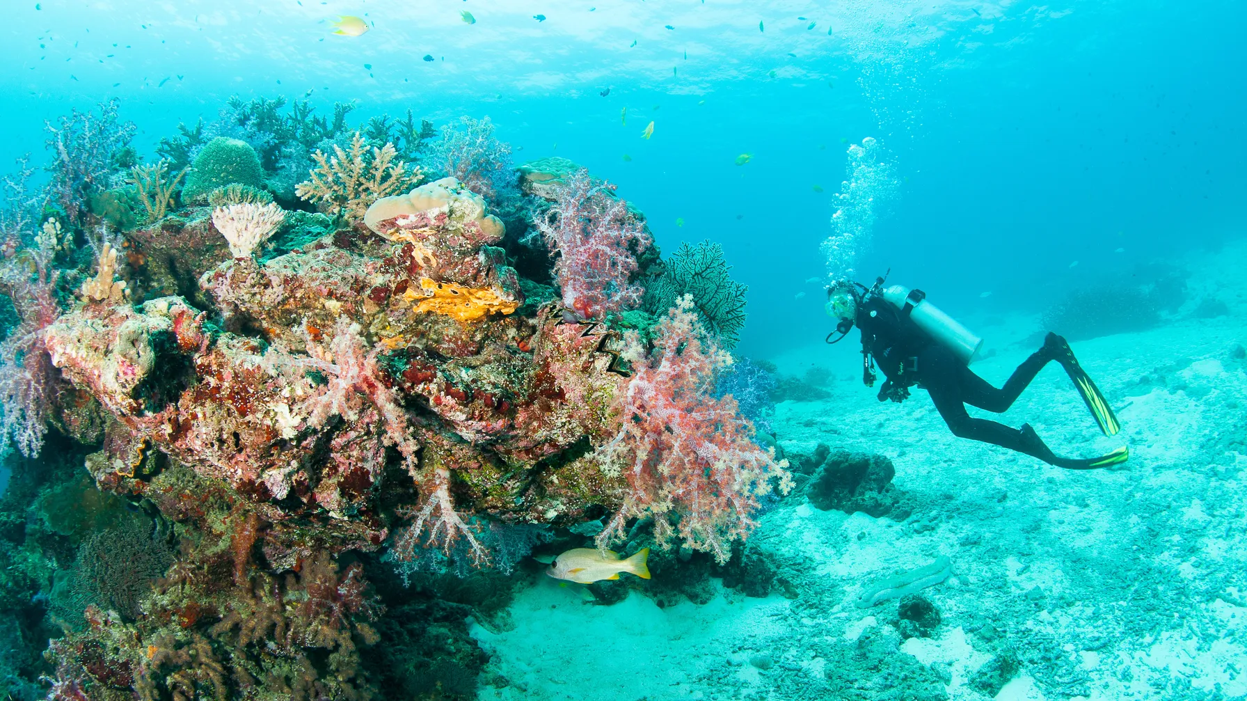 March in Thailand: The Ideal Time for Your Trip? article