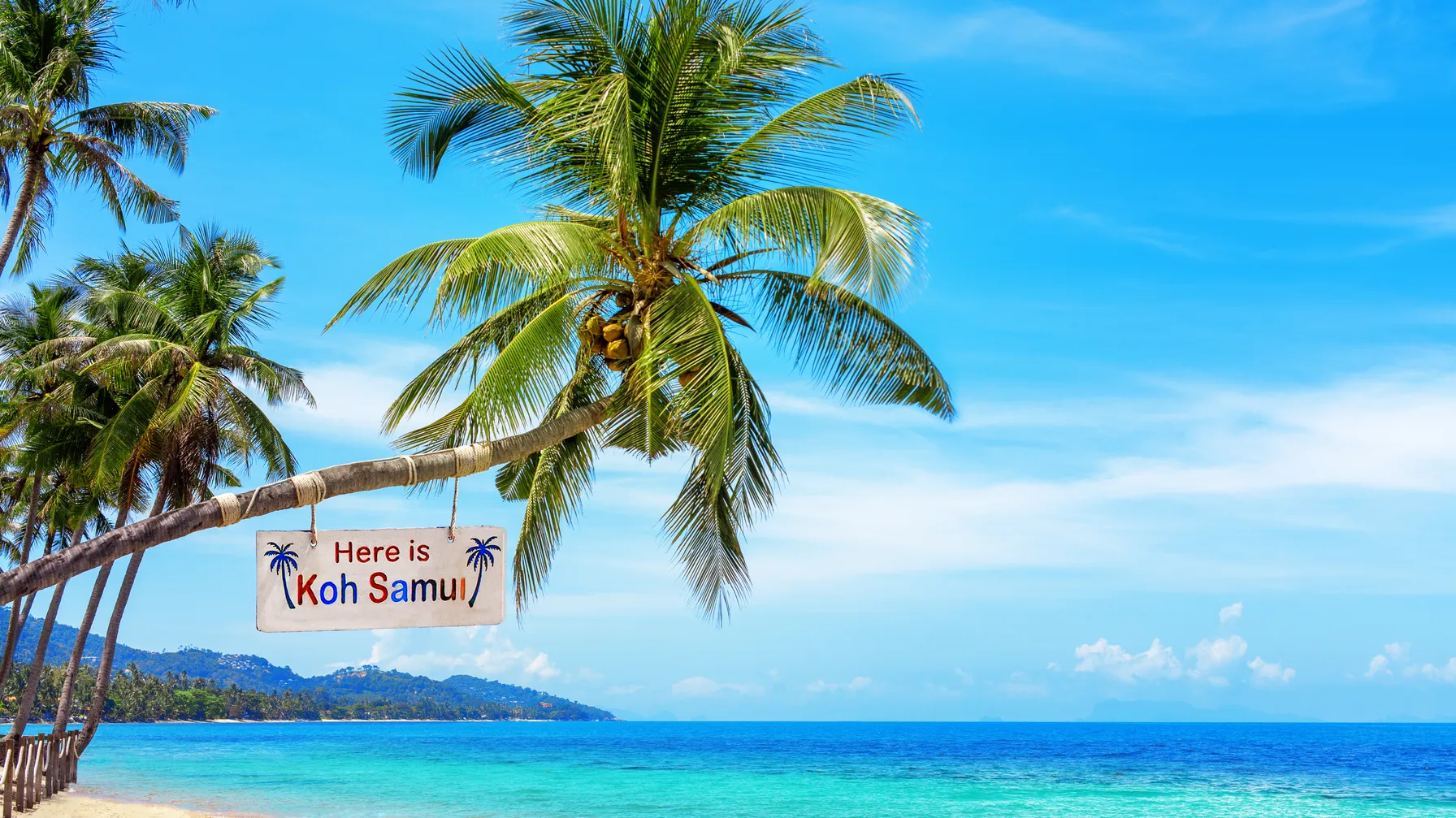 Koh Samui in August: your complete guide to a successful tropical vacation article