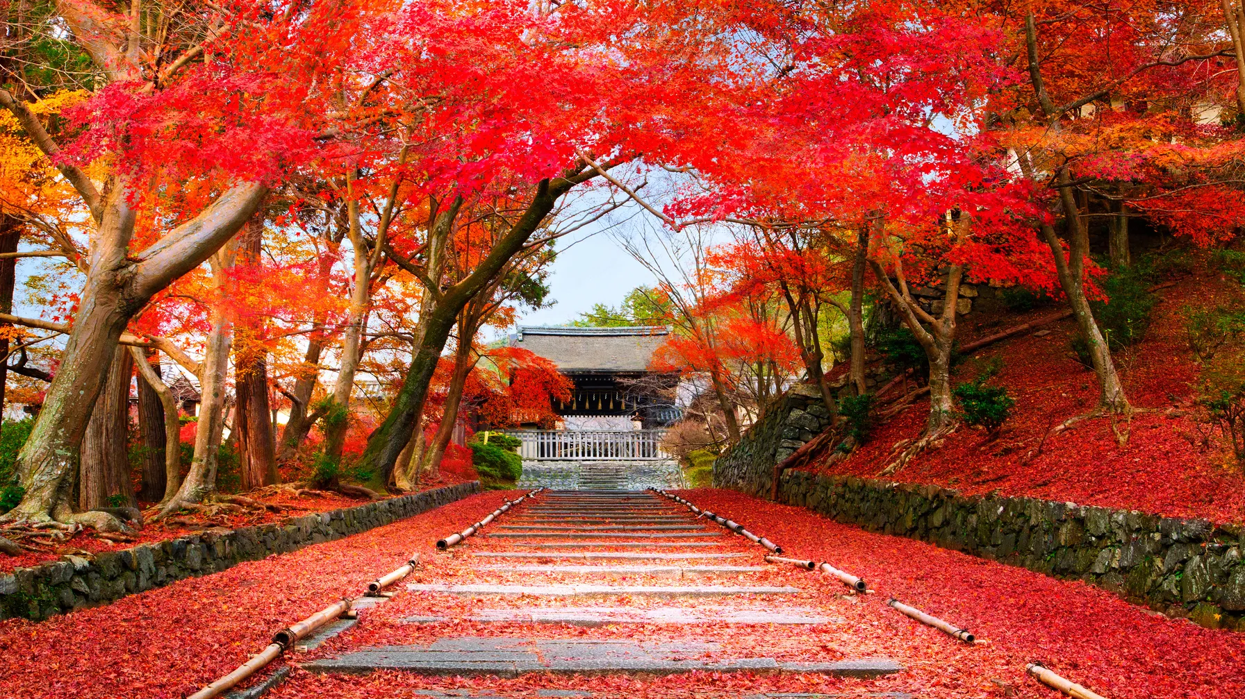 Kyoto in October: Between Cultural Traditions and the First Thrills of Autumn article