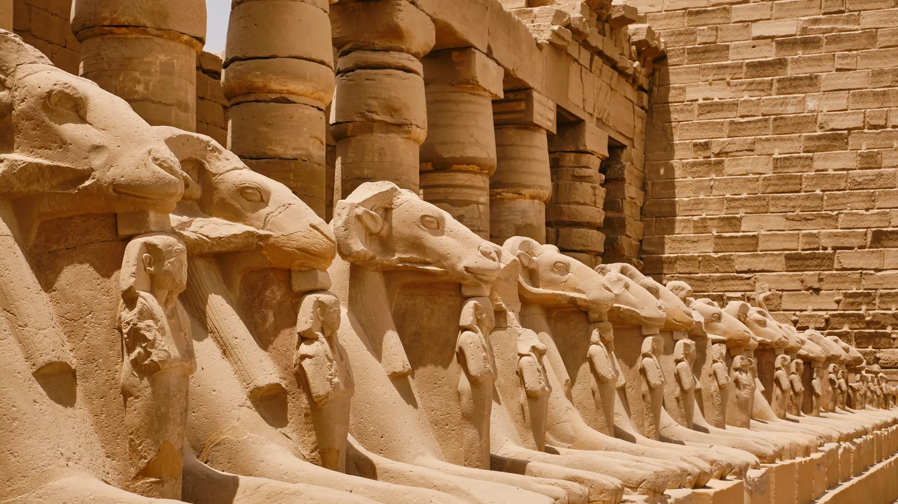 Égypte en août : votre aventure sur mesure sous le soleil du désert article