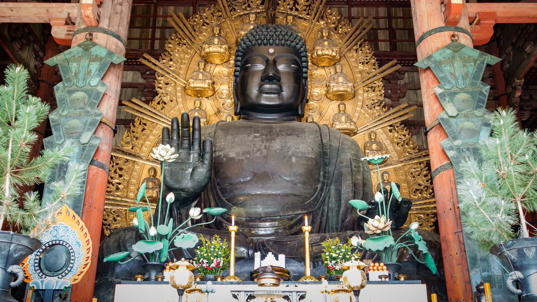 What to do in Nara: Discovering the ancient capital with sacred deer article