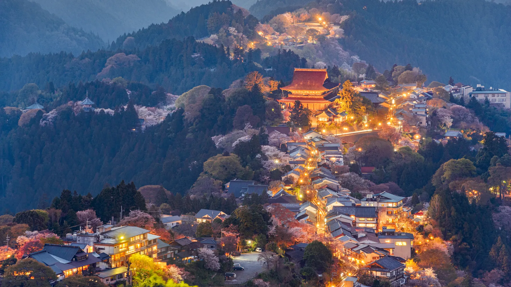 Guide à Nara : découvrez l'ancienne capitale japonaise et ses trésors article