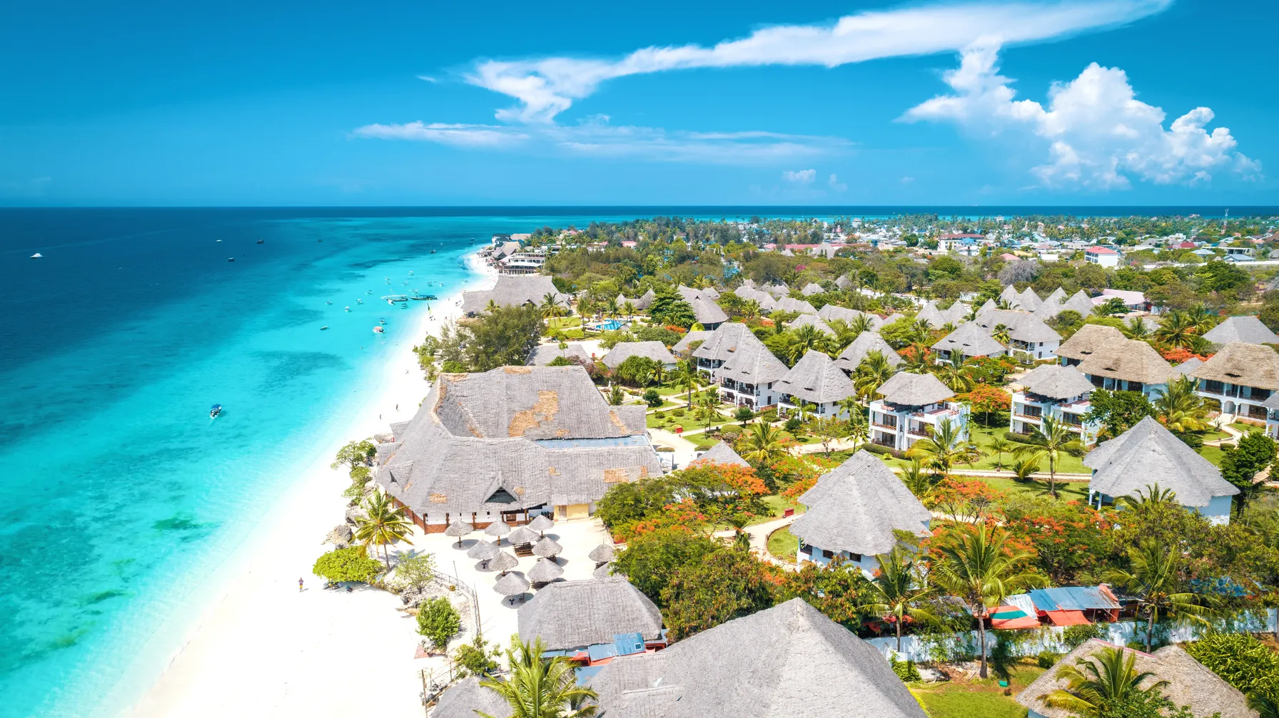 Quand partir à Zanzibar : guide complet pour choisir la période idéale article