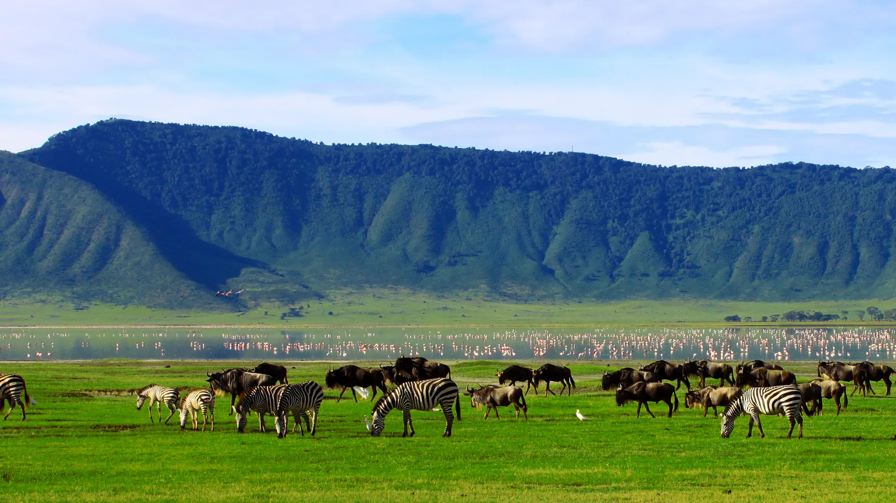 Tanzanie en février : découvrir l'Afrique de l'Est sous le soleil article