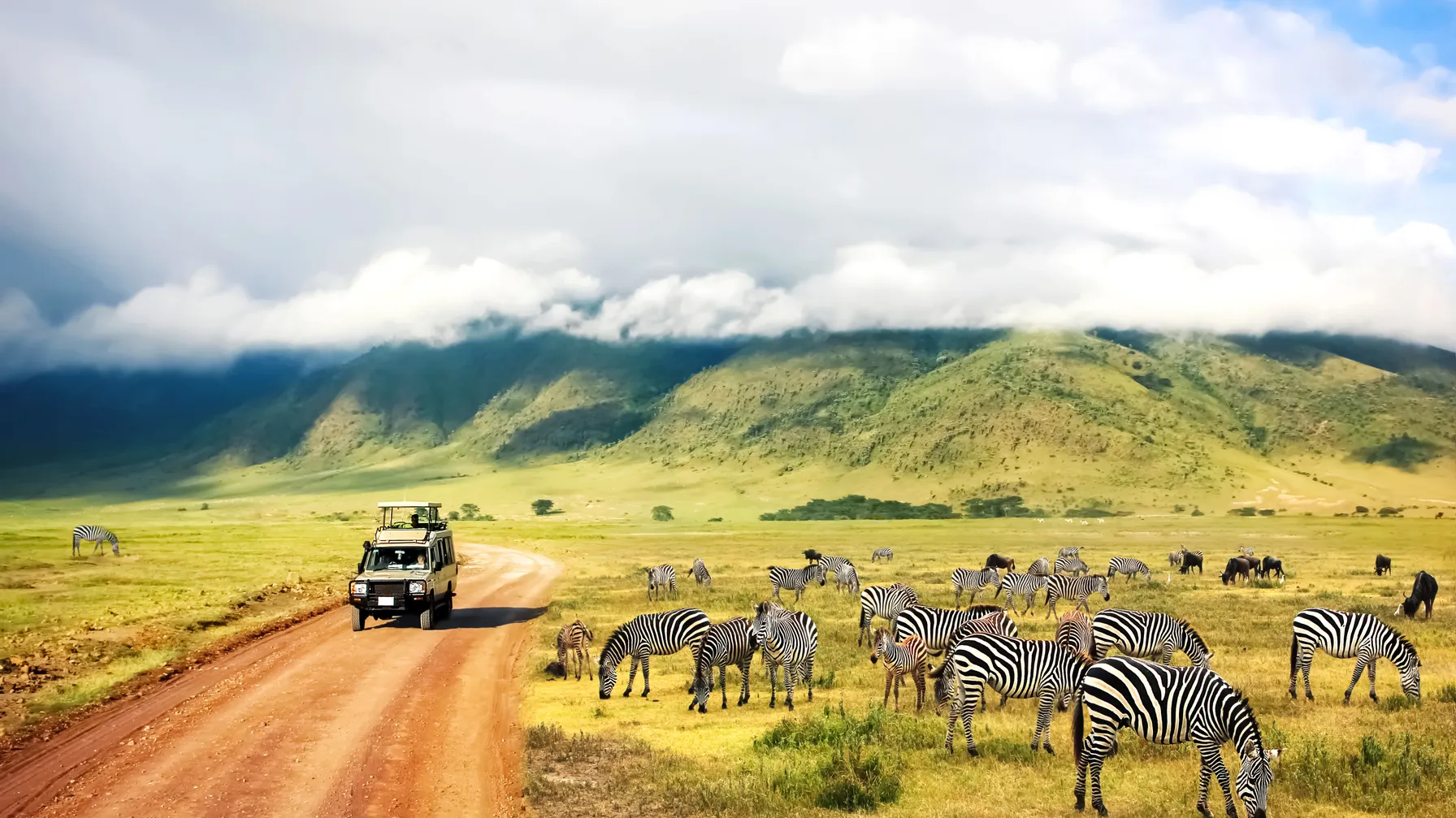 En Tanzanie en janvier : climat idéal et expériences uniques article
