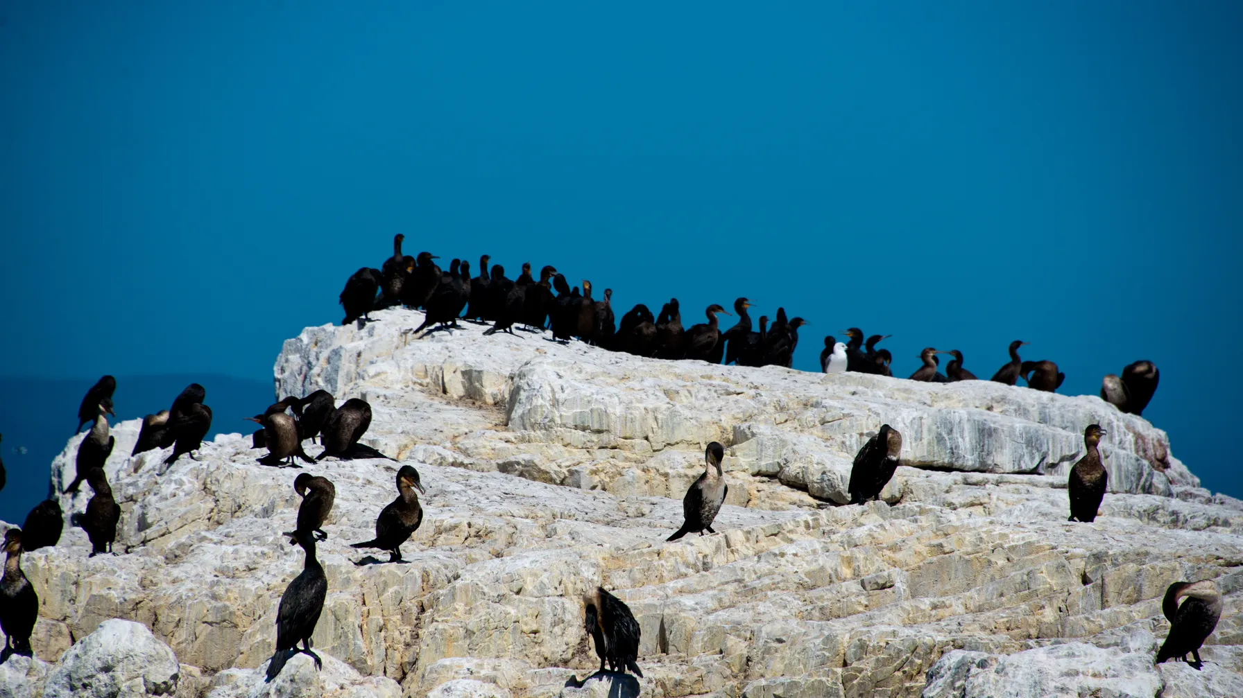 Afrique du Sud en octobre : votre guide pour un voyage inoubliable article