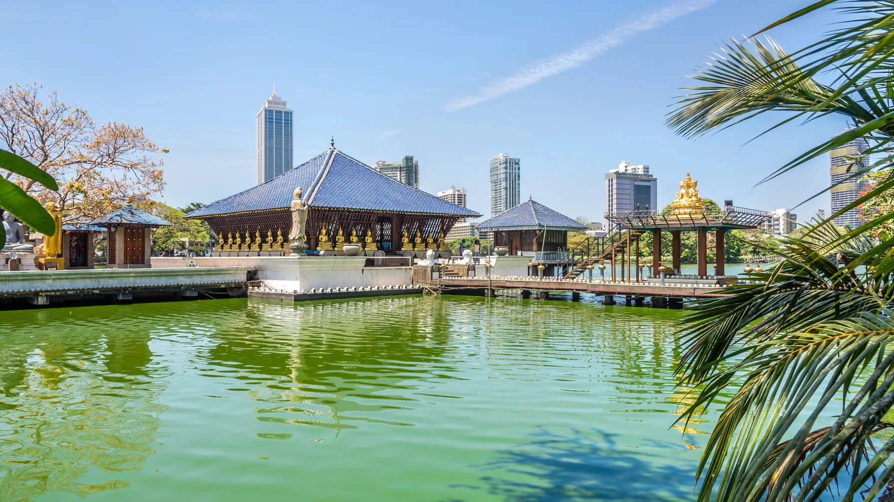 Traveling to Colombo in May: a complete guide for your trip to Sri Lanka article