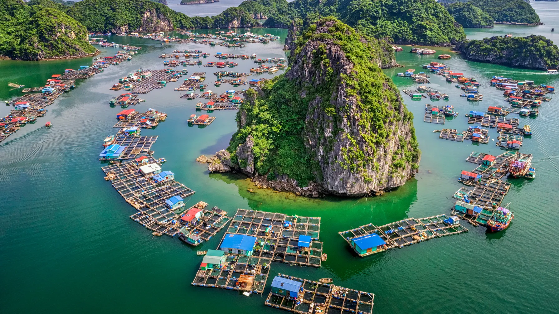 Vietnam en décembre : votre guide pour un séjour sur mesure réussi article