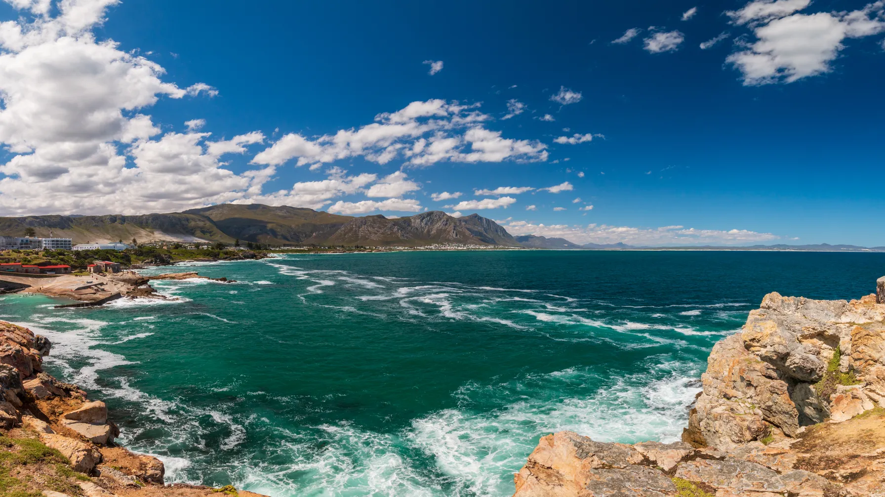 Surfing in Hermanus: Discover South Africa's exceptional waves article