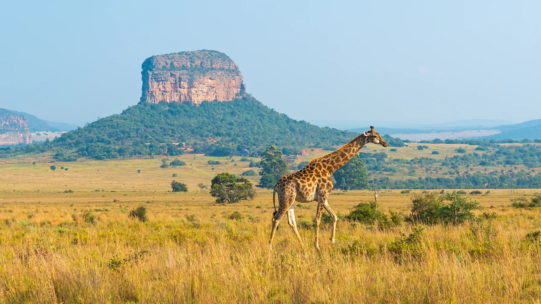 Afrique du Sud en septembre : la période idéale pour votre voyage sur mesure article