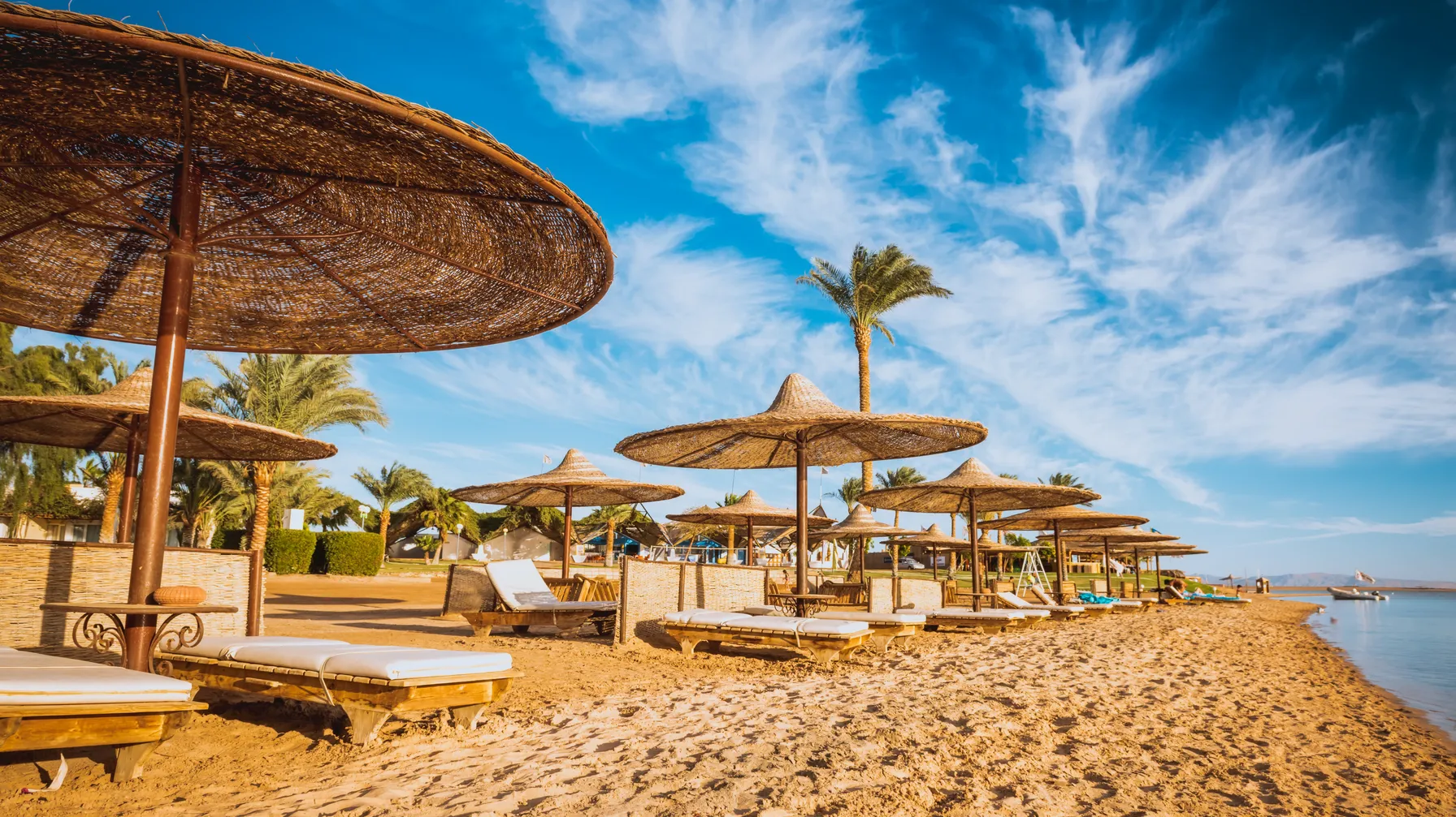 Red Sea in November: your guide to a perfect vacation article