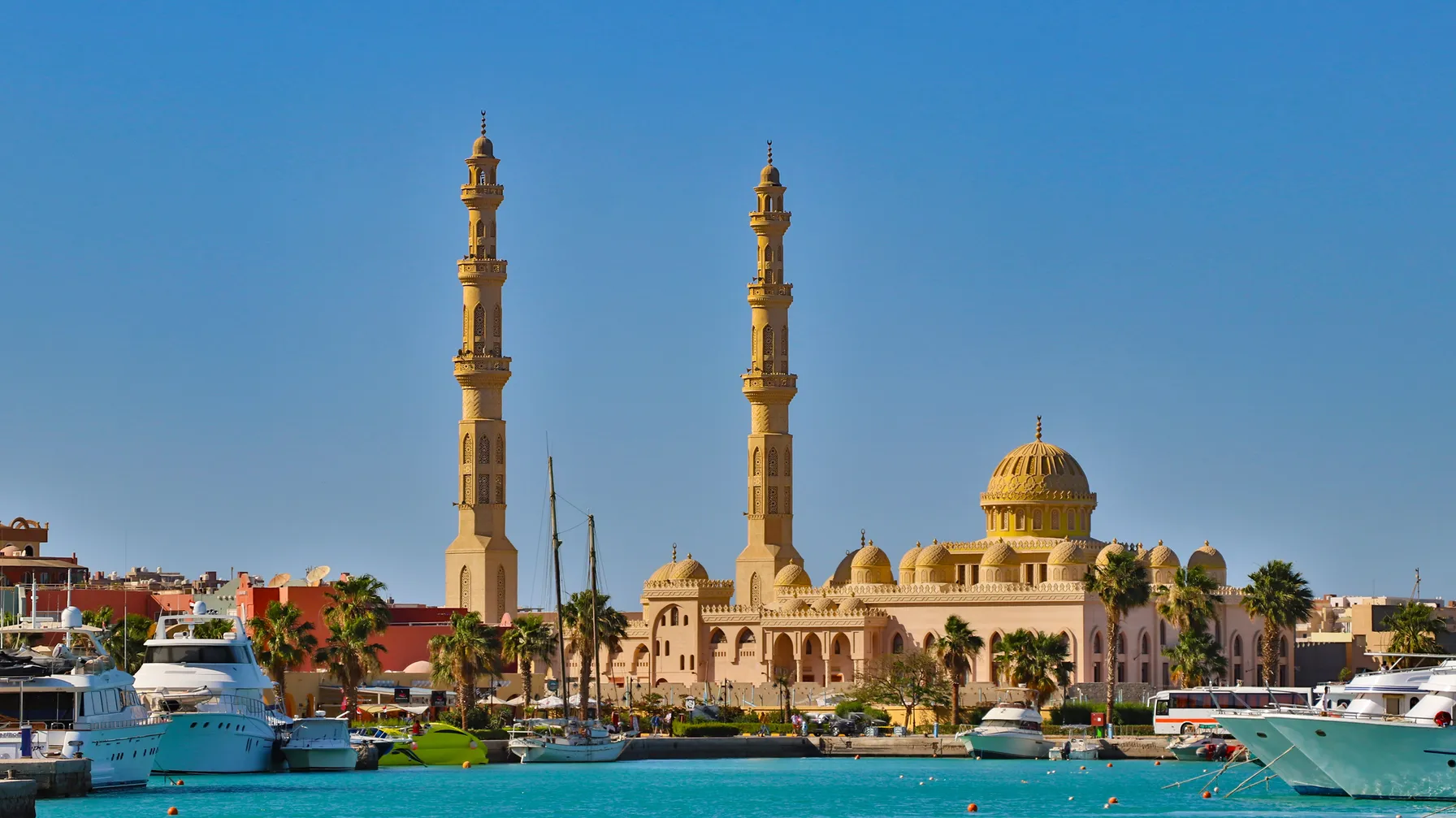 Red Sea in December: Your Complete Guide for an Ideal Vacation article