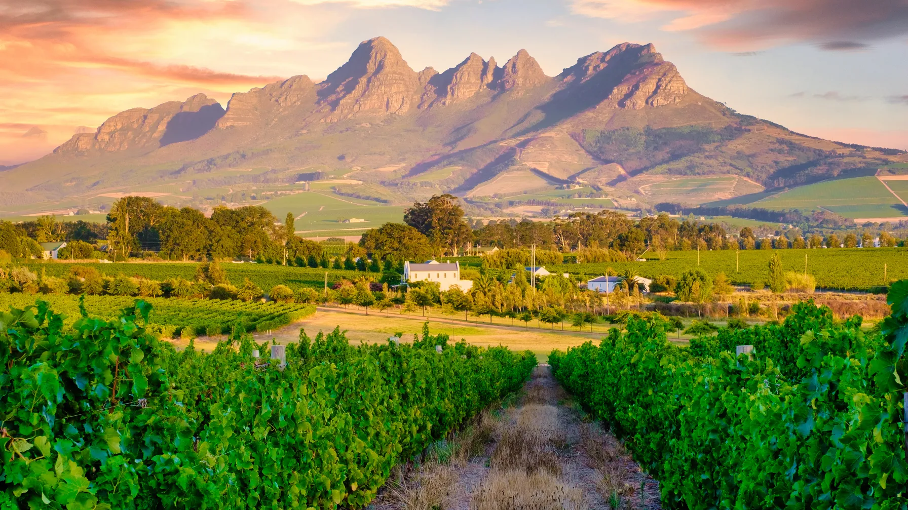 What to do in Stellenbosch article