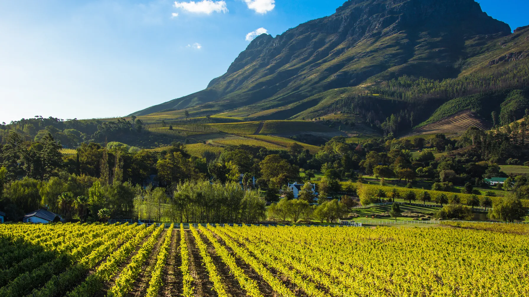 Afrique du Sud en août : votre guide complet pour un voyage inoubliable article